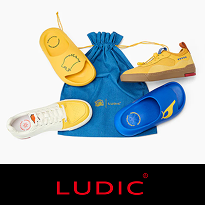Ludic Life