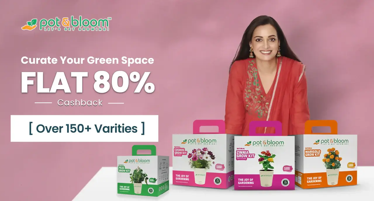 Pot and Bloom cashback