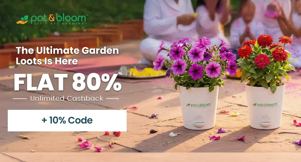 Pot and Bloom cashback