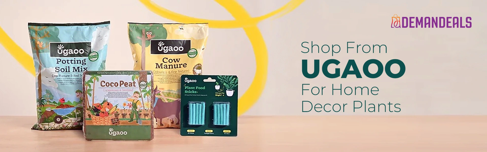 Ugaoo home decor plants