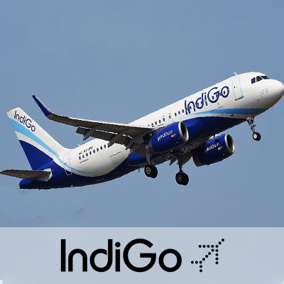 Image of Indigo