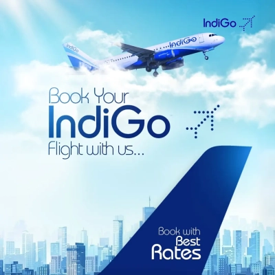 Image of Indigo Flights