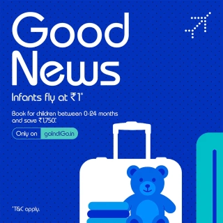 Thumbnail of Indigo Flights
