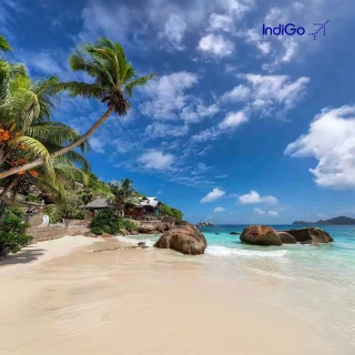 Thumbnail of Indigo Hotel Booking