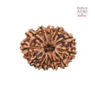 Thumbnail of IndusAstro