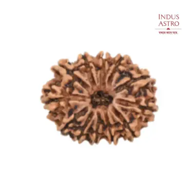 Image of IndusAstro