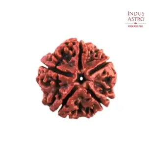 Thumbnail of IndusAstro
