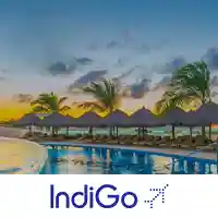 Indigo hotel booking