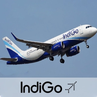 indigo flight