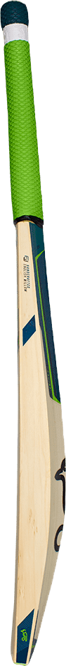 Cricket bat animation