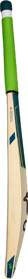 Cricket bat animation